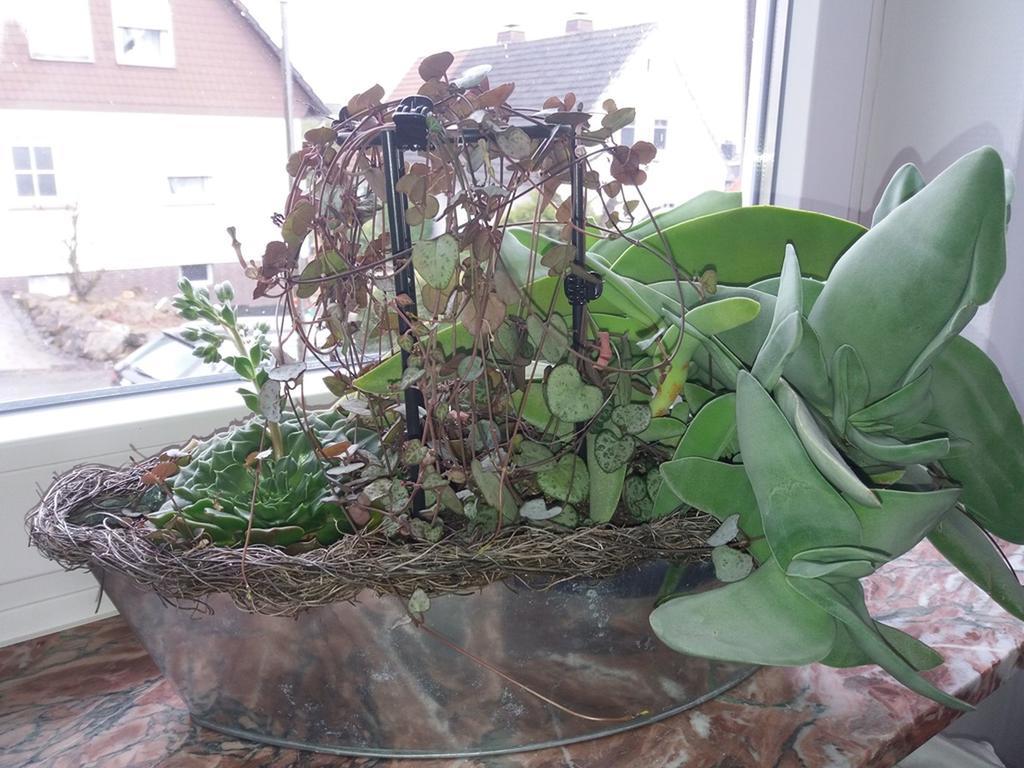 Haus Maruna Schauenburg Bagian luar foto